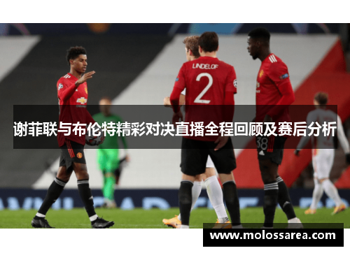 谢菲联与布伦特精彩对决直播全程回顾及赛后分析