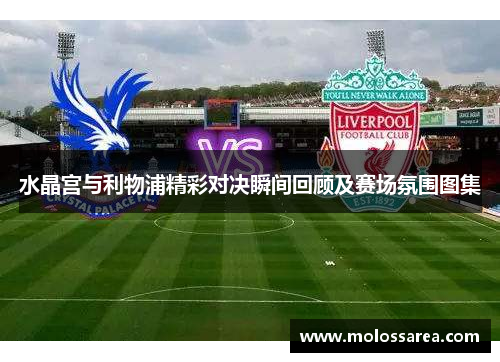 水晶宫与利物浦精彩对决瞬间回顾及赛场氛围图集